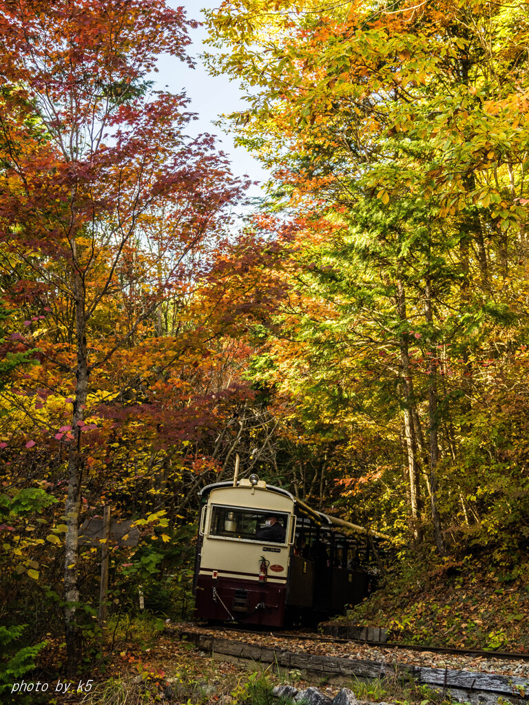 赤沢森林鉄道