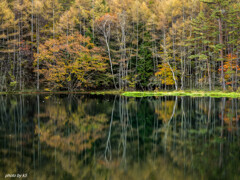 御射鹿池の紅葉