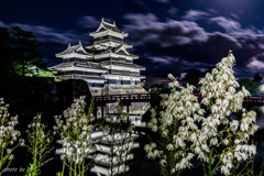 松本城と糸蘭