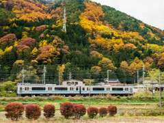 紅葉と電車