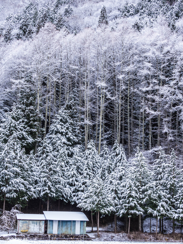 4月1日雪景色