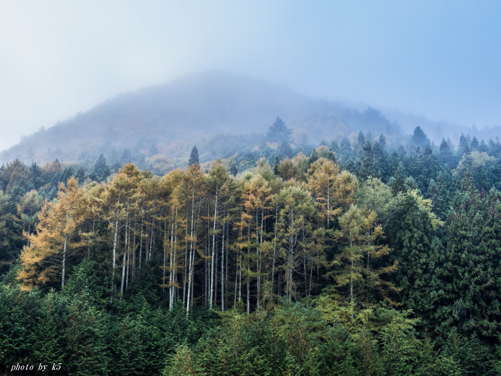 里山の紅葉