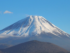 冠雪