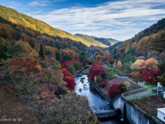 秋の横川渓谷1
