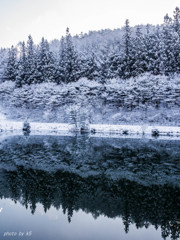 雪の華