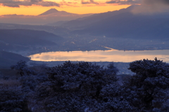 高ボッチ高原view2016.12.29-樹氷と朝焼け