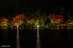 雨の夜