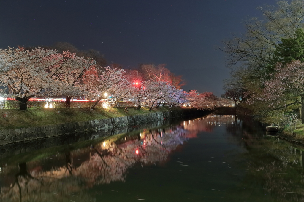 松本城夜桜1
