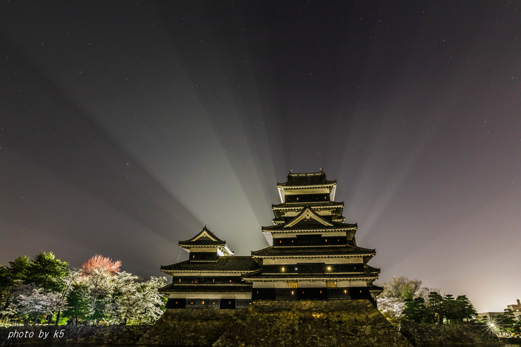 国宝松本城の後光と夜桜