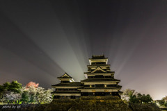 国宝松本城の後光と夜桜