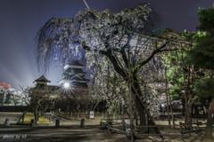 国宝松本城と夜桜1