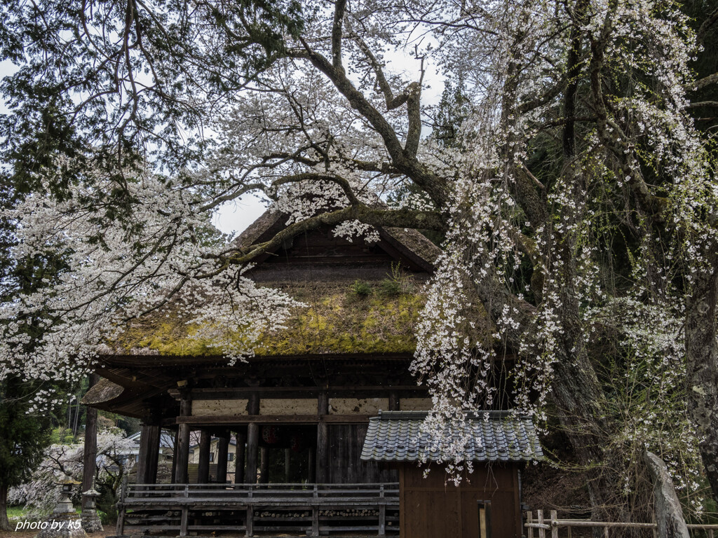 光輪寺薬師堂