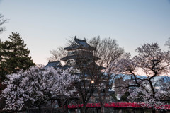 松本城の夜明け