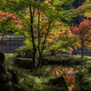 霊松寺の紅葉