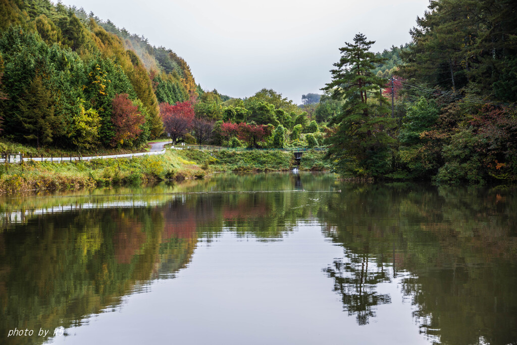 ため池の紅葉2