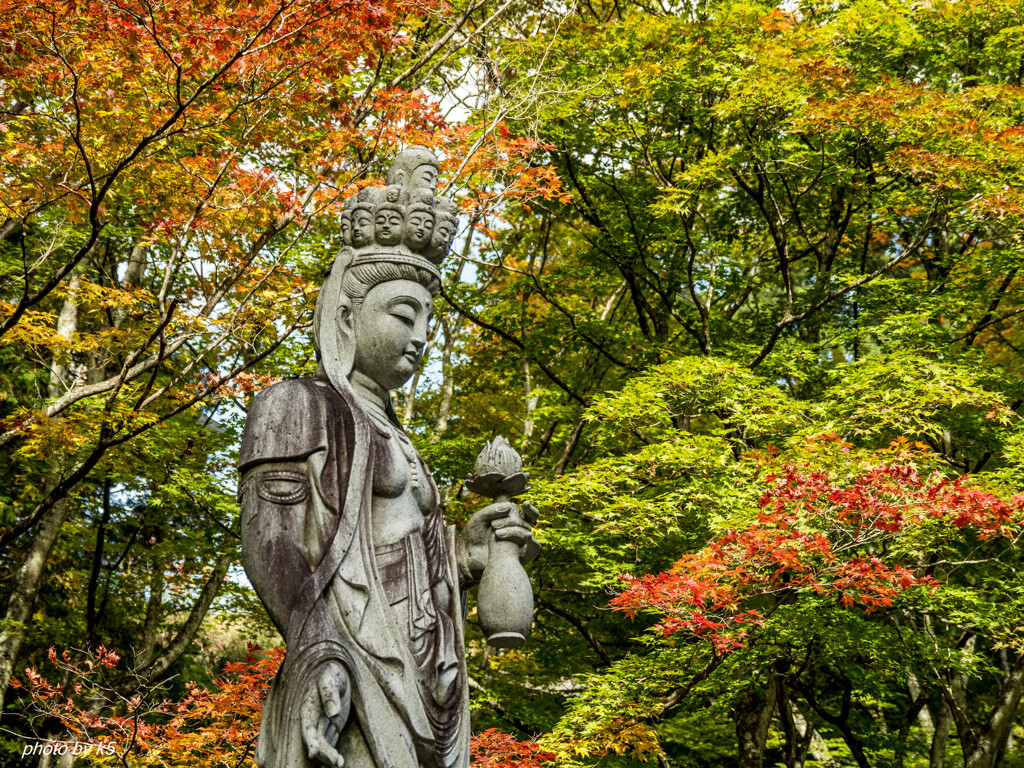 霊松寺の紅葉