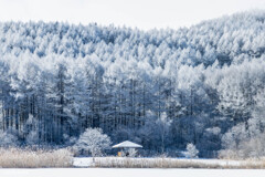 雪景色