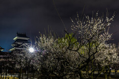 松本城の梅