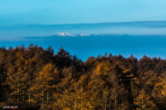 紅葉と御嶽山