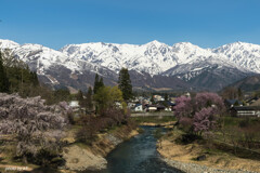春の大出公園