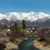 春の大出公園