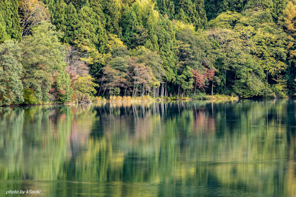 秋の中綱湖
