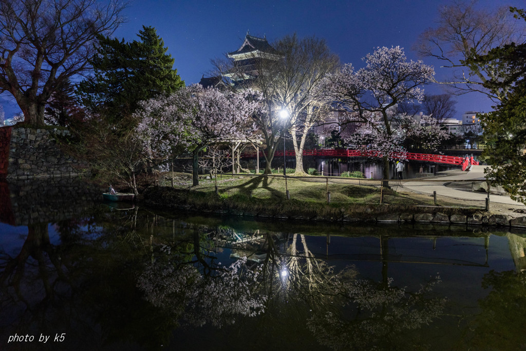 松本城の桜1