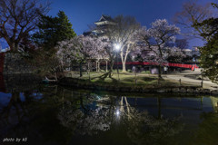 松本城の桜1