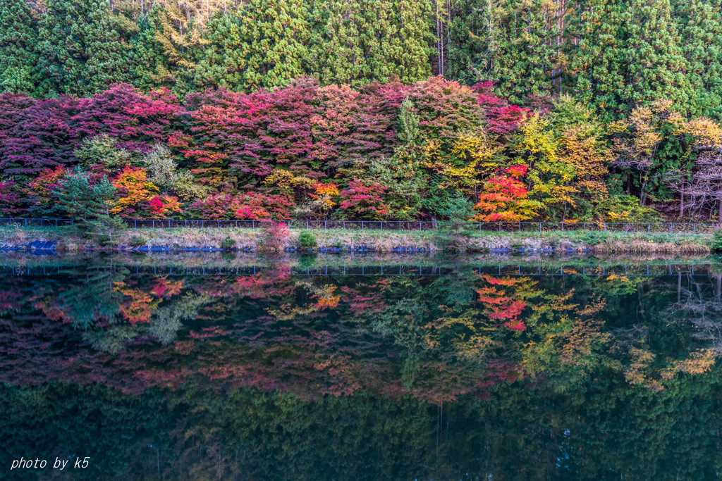 紅葉映り込み2