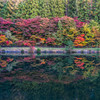 紅葉映り込み2