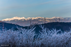 樹氷と北アルプス１