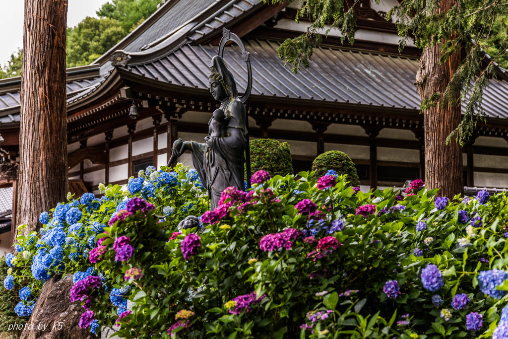 慈母観音像と紫陽花