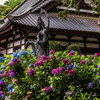 慈母観音像と紫陽花