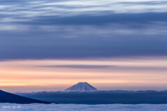 朝陽の中