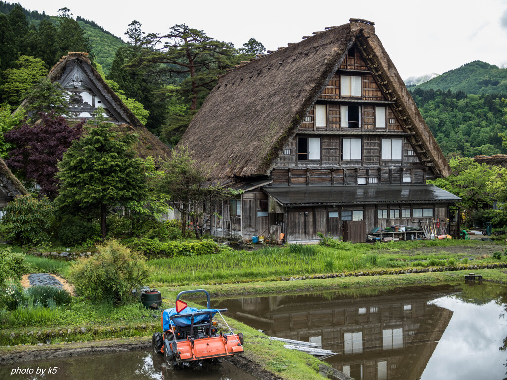 雨の白川郷