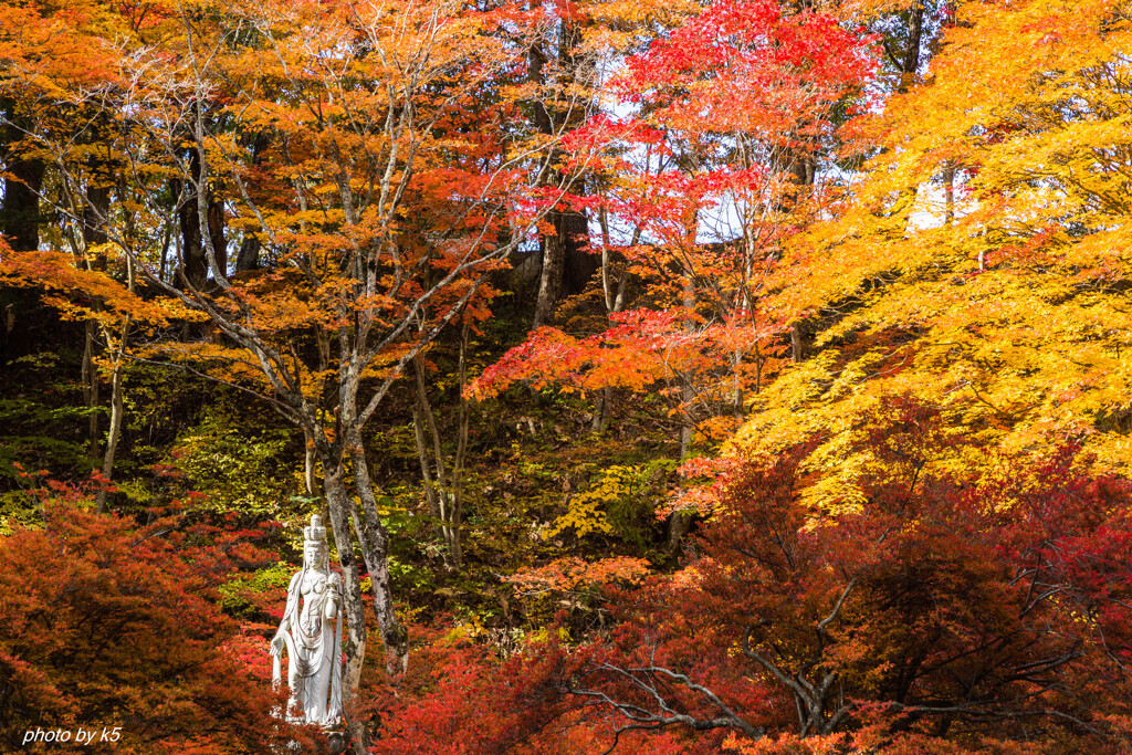 霊松寺の紅葉2