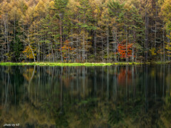 御射鹿池の紅葉