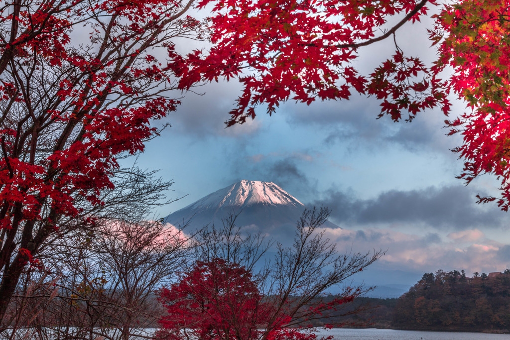 紅葉と富士