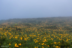 霧ケ峰高原の朝2