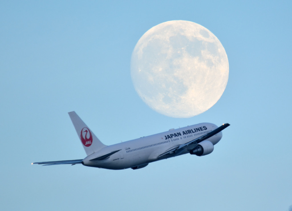 Moon＆JAL
