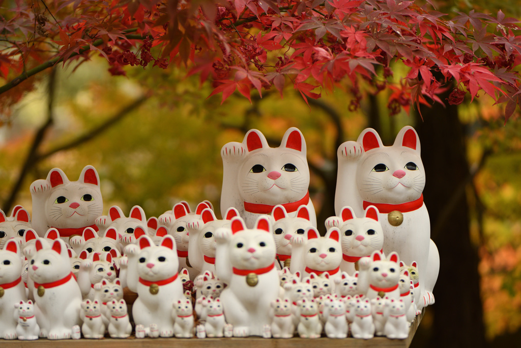 招き猫