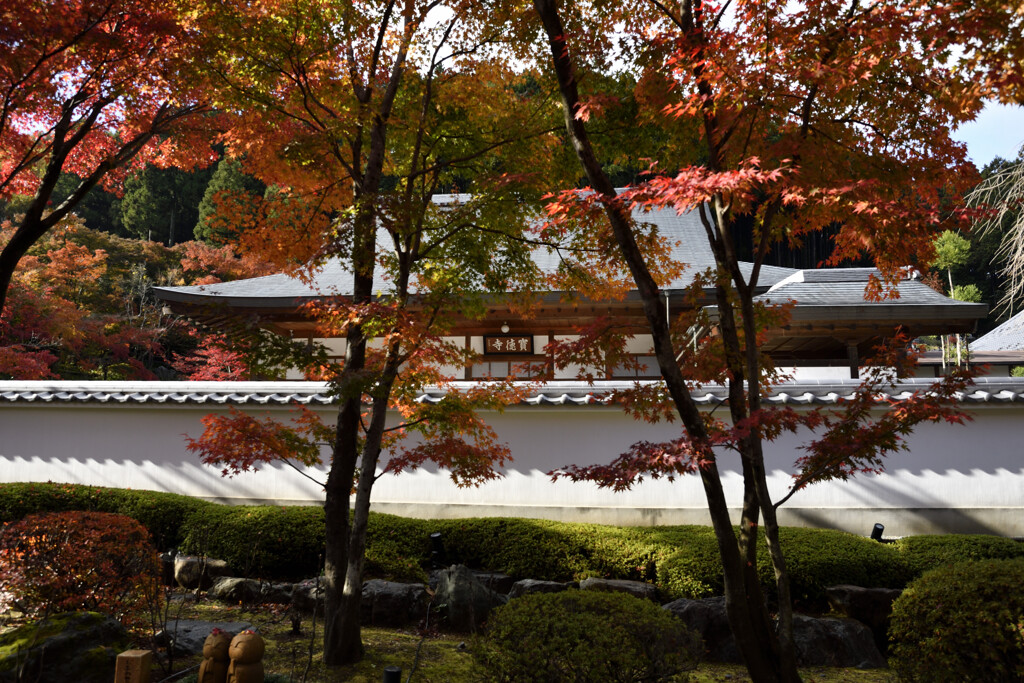 庭園の紅葉