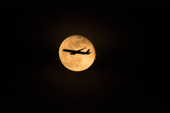 ＪＥＴ ＩＮ ＴＨＥ ＭＯＯＮ！！