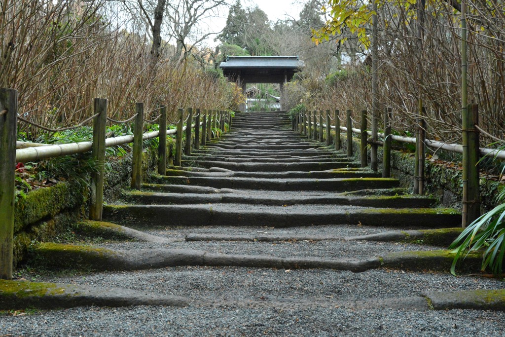 あじさい寺