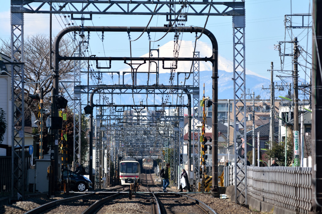 Mt.FUJI & KEIO