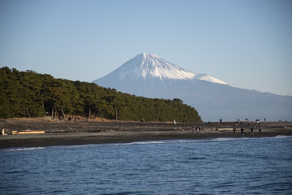 本年も宜しくお願い致します。