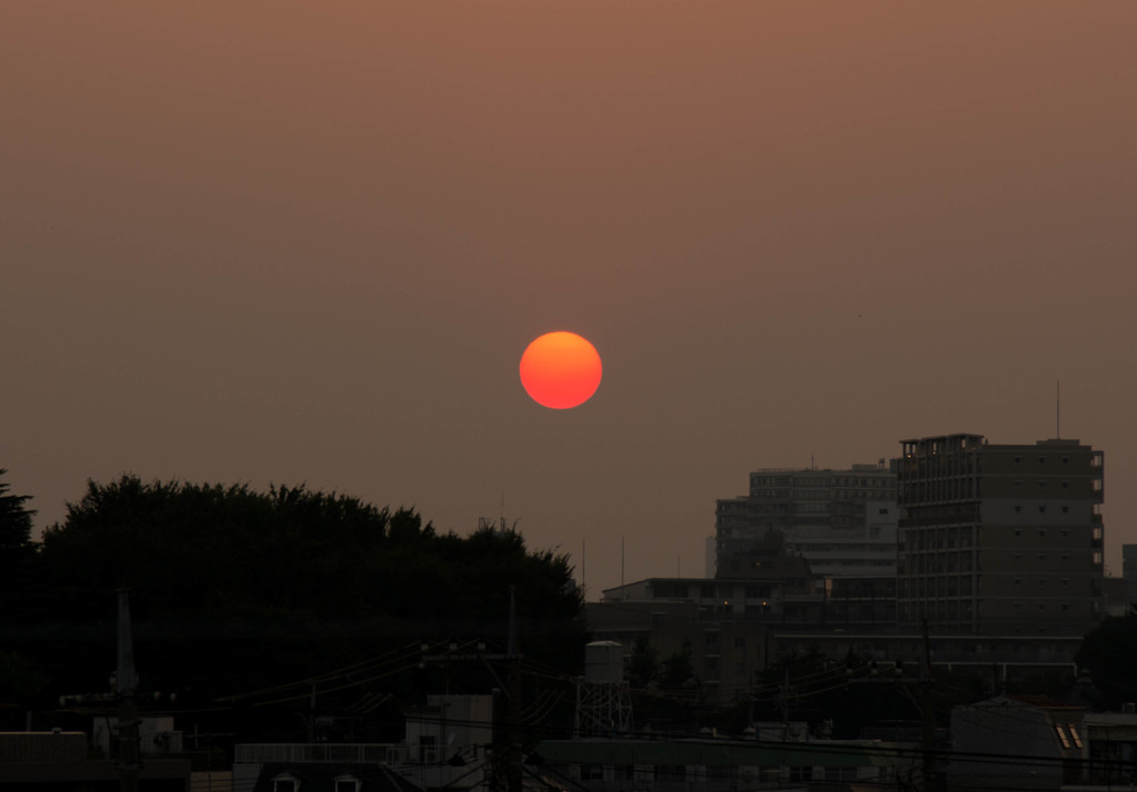 いつかの夕陽