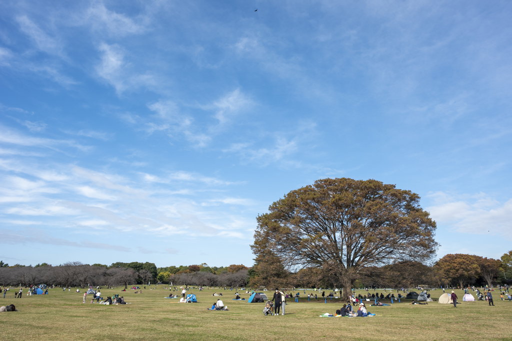 国営昭和記念公園