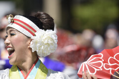 原宿表参道元氣祭スーパーよさこい 2019