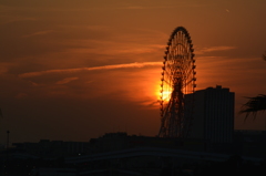 秋の夕暮れ。。。